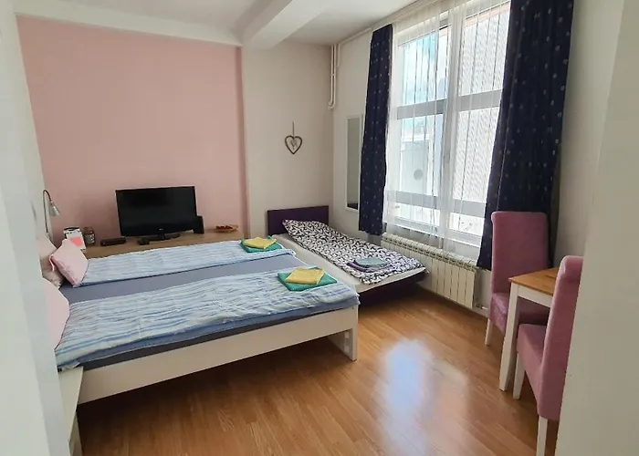 Studio Apartman Ld U Strogom Centru